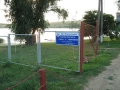 Дарьевский пруд, Ростовская область